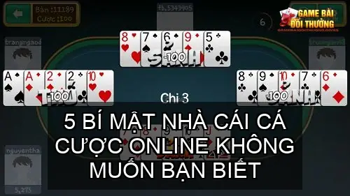 5 bi mat nha cai ca cuoc online khong muon ban biet 68c1421592fbe