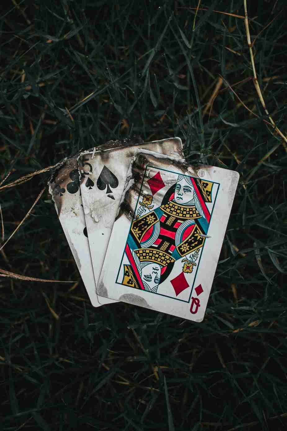 Winspark Casino Review: Een Overzicht van de Spelerbeoordelingen